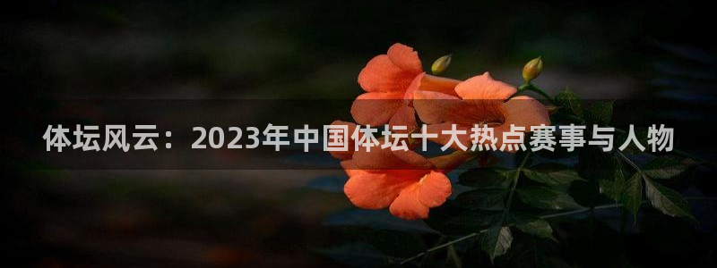 vsport体育官网下载平台APP:体坛风云:2023年中国