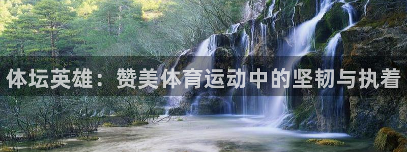 海南vsport体育官网下载:体坛英雄:赞美体育运动中的坚韧