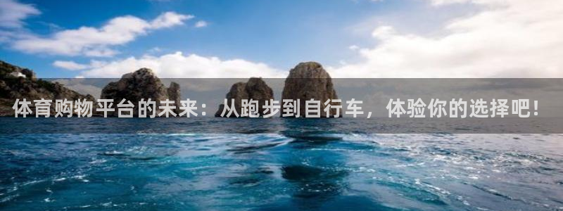 vsport体育官方正版app开户:体育购物平台的未来:从跑