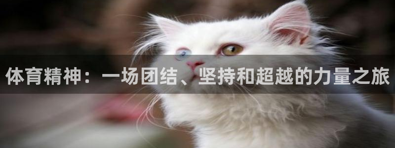 vsport体育官方平台体育:体育精神:一场团结、坚持和超越