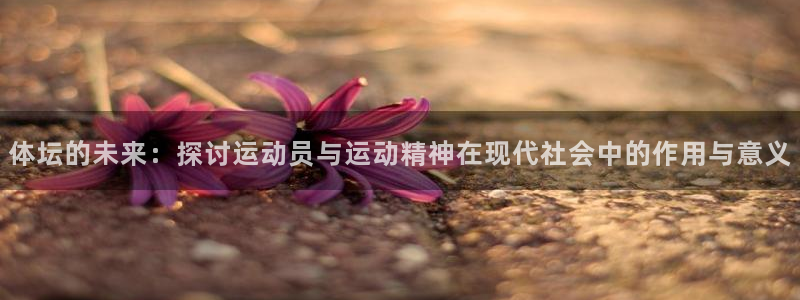 vsport体育官网下载招商:体坛的未来:探讨运动员与运动精