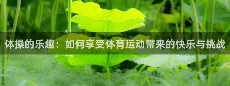 vsport体育官网下载软件:体操的乐趣:如何享受体育运动带